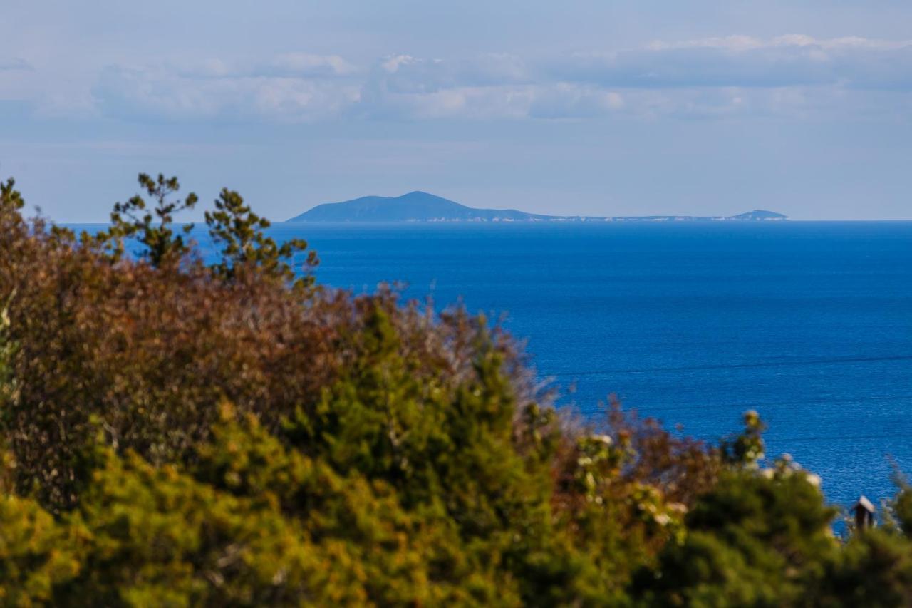 Villa Luana Vis Eksteriør billede